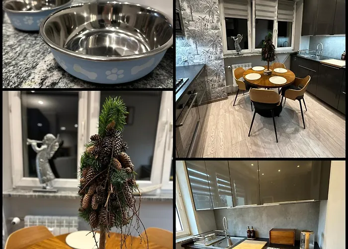 The Mirrors * Zoppot